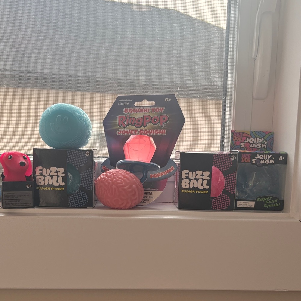 Off brand Needoh Jellyfish, Fuzz ball, stretchi dogs, Ring pip, brain squish. I